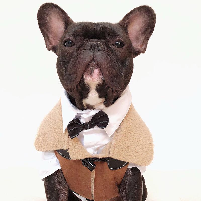 French Bulldog Clothes Winter Frenchie Dog Coat Jacket Pug Clothing Schnauzer Dog Outfit Suede Cashmere Pet Vest Costume Apparel