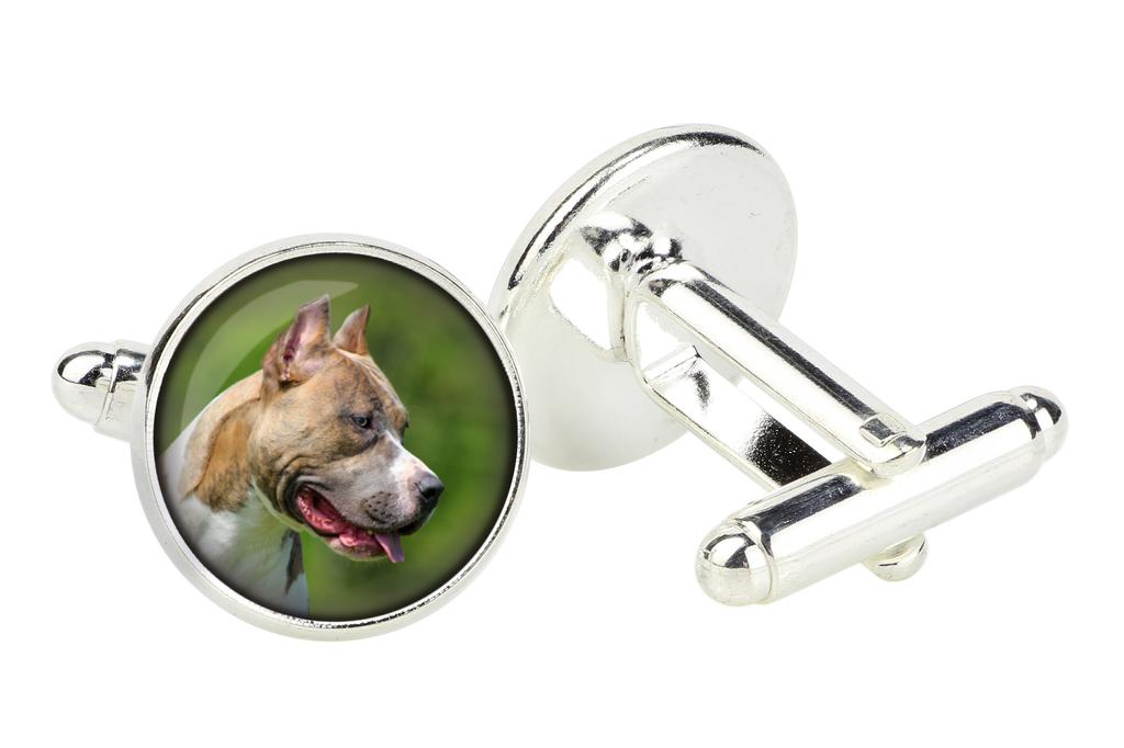 Pit Bull, American Pit Bull Terrier, Pitbull Terrier, APBT - cufflinks in a box, handmade jewelry, product of the Art-Dog brand