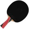 DOUBLE FISH 8-Star Professional Carbon Table Tennis Racket