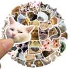 10/30/50/100 Stück Lustige Niedliche Hunde Katzen MEME Aufkleber Kawaii Tiere Decals DIY Schreibwaren Laptop Handy Cartoon Graffiti Aufkleber