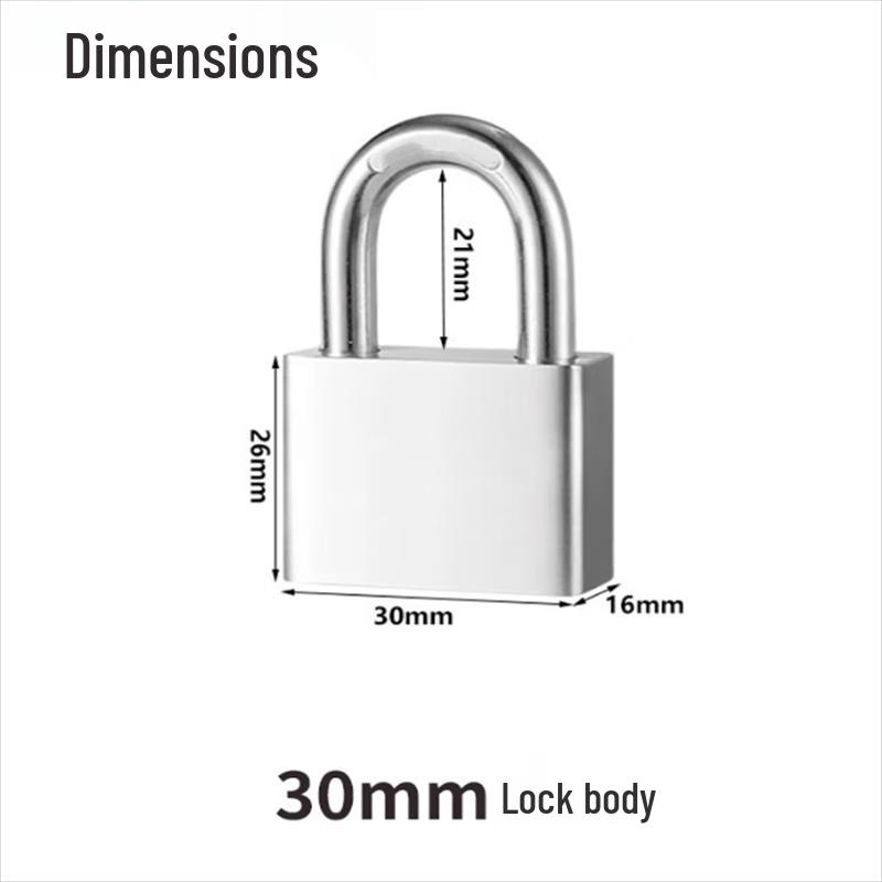 DIZY 30mm Waterproof Small Padlock