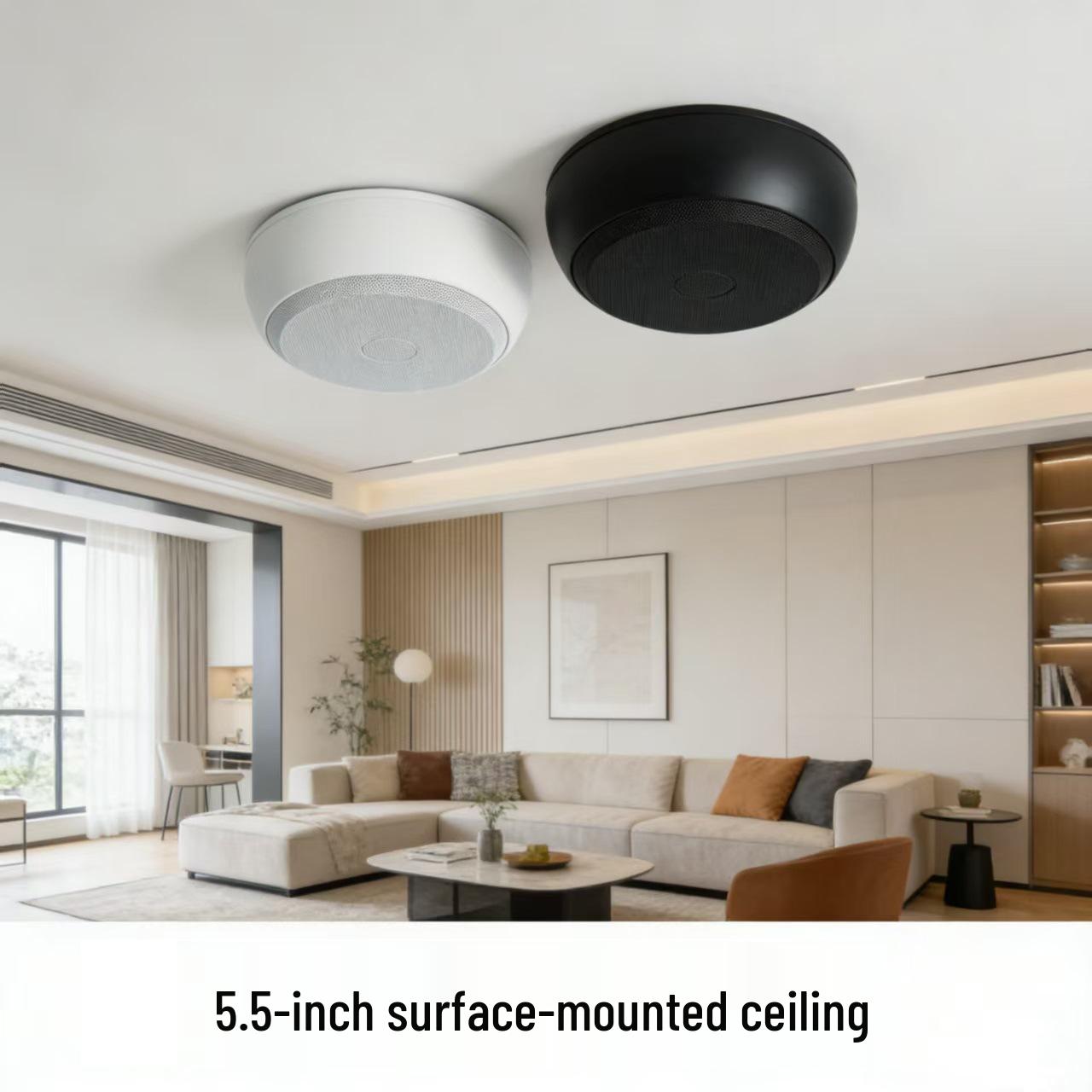 

Tianlai Ceiling Speaker Set with Built-in Constant Voltage Amplifier for Home Background Music D53. Diameter 217*90mm