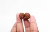 Natural Gauri Shankar Rudraksha Bead – Nepali Origin | Bead for Harmony, Unity, Relationship Balance & Emotional Healing | Organic & Lab Certified