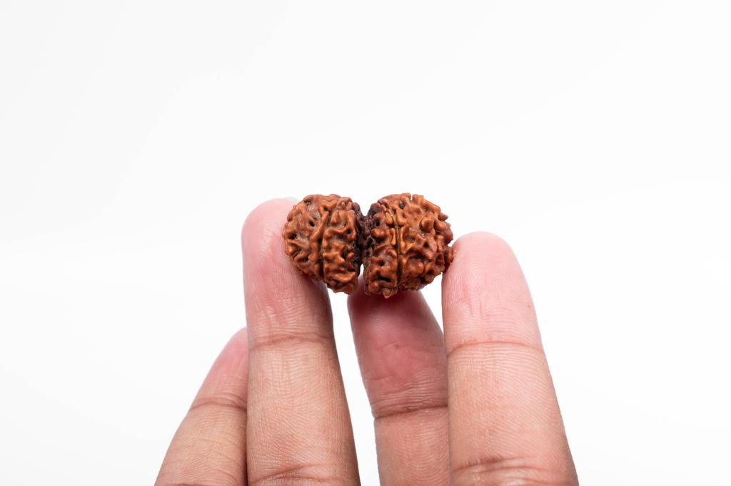 Natural Gauri Shankar Rudraksha Bead – Nepali Origin | Bead for Harmony, Unity, Relationship Balance & Emotional Healing | Organic & Lab Certified