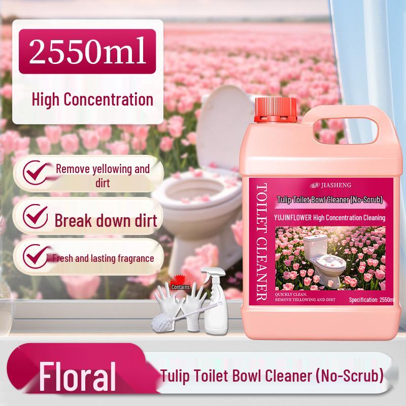 Potente Anticalcare e Deodorante Detergente per WC con Profumo Fresco - Rimuove Macchie e Ingiallimento