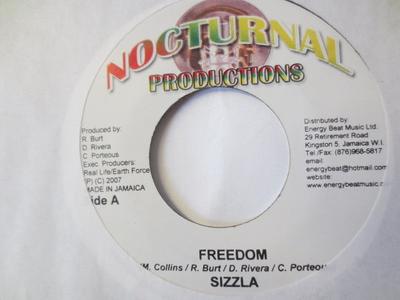 7inch Record SIZZLA / MOSES I - Freedom / Wake Up Now NONE Nocturnal Produ 2007 Jamaica Reggae, Ska & Dub Used