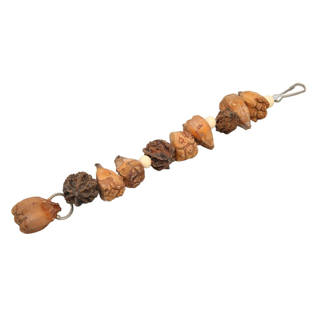 Vogel Kauspielzeug Mahlen Mund Bissfestigkeit Stämme Natürliche Nüsse Hängendes Papageien Kauspielzeug für