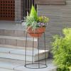 Takasho Ball Planter Stand, 60cm, 6mm Diameter, Black