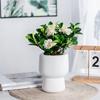 Self-absorbing Flowerpot with Cotton Rope Planter Double-layer Breathable Structure And Water Storage Tank Flower Pot for Indoor Plants