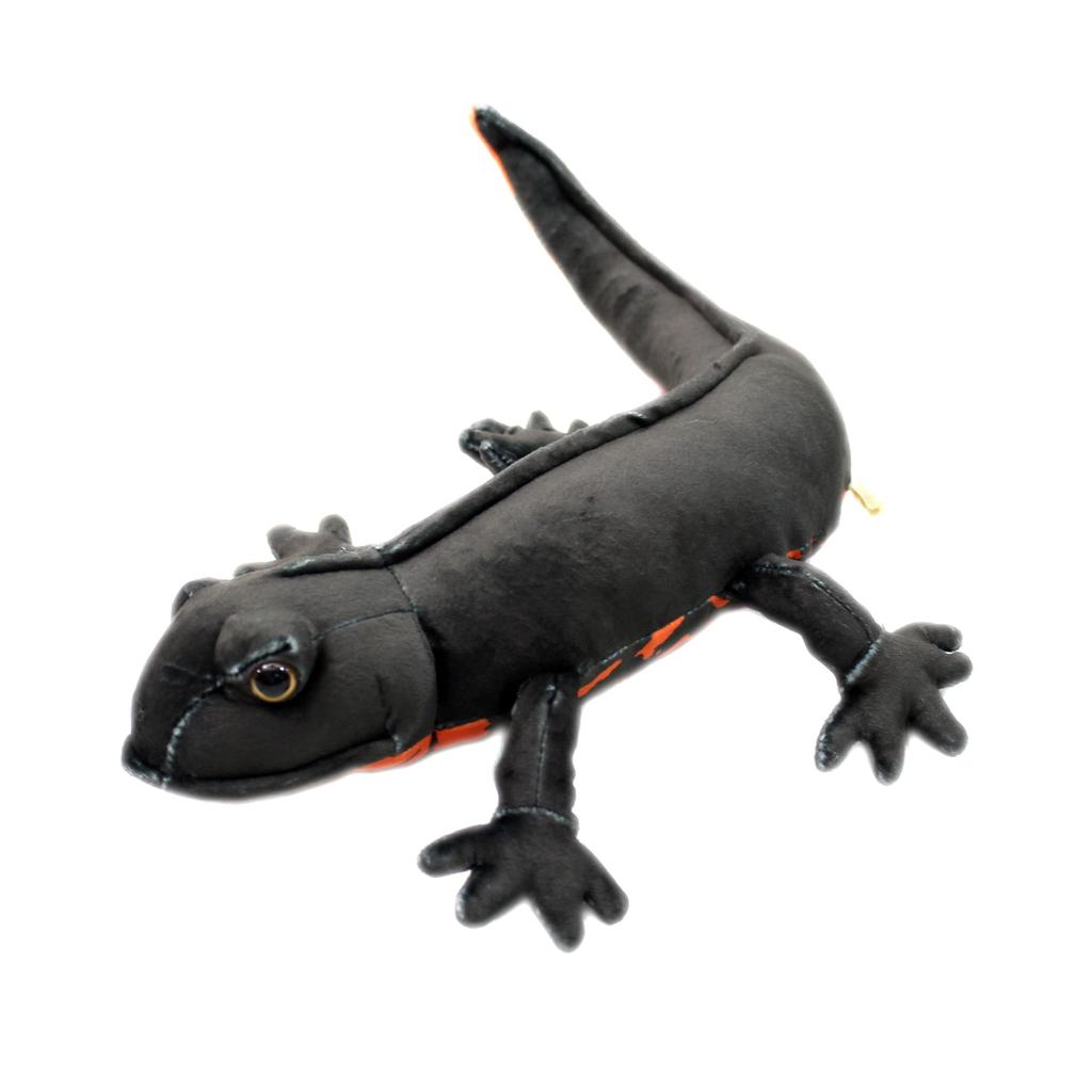 Takeoff Red-bellied Newt