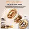 Hao Mu Ren Portable Wireless Amplifier with Dual Lavalier Microphones CN plug (adapter included)