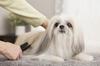 JOYPET Waterless Foam Shampoo for Dogs 200ml