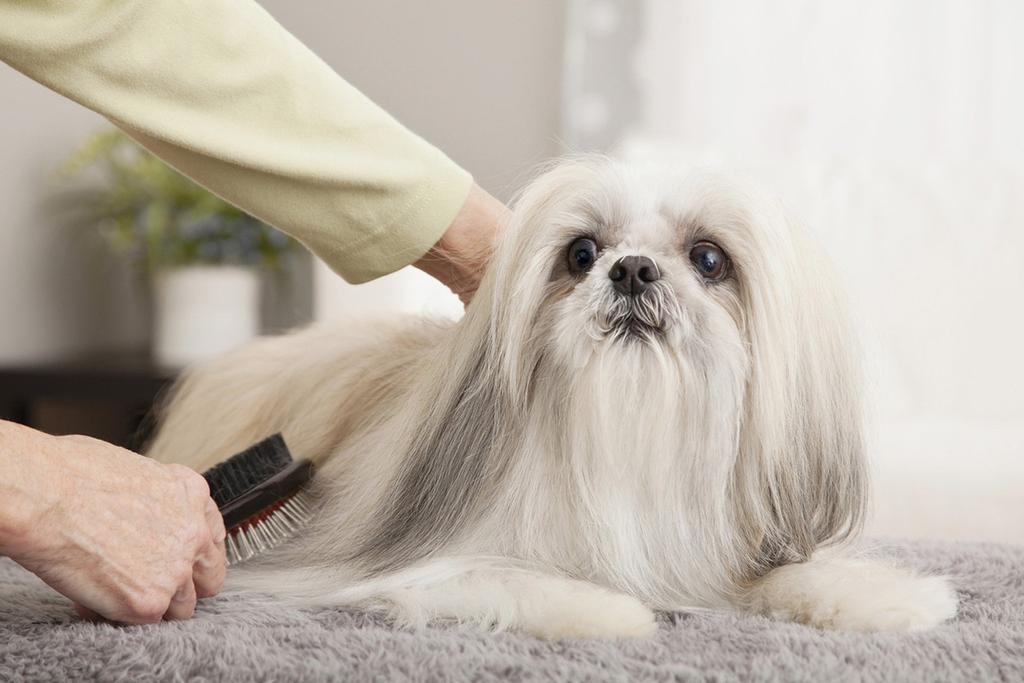 JOYPET Waterless Foam Shampoo for Dogs 200ml