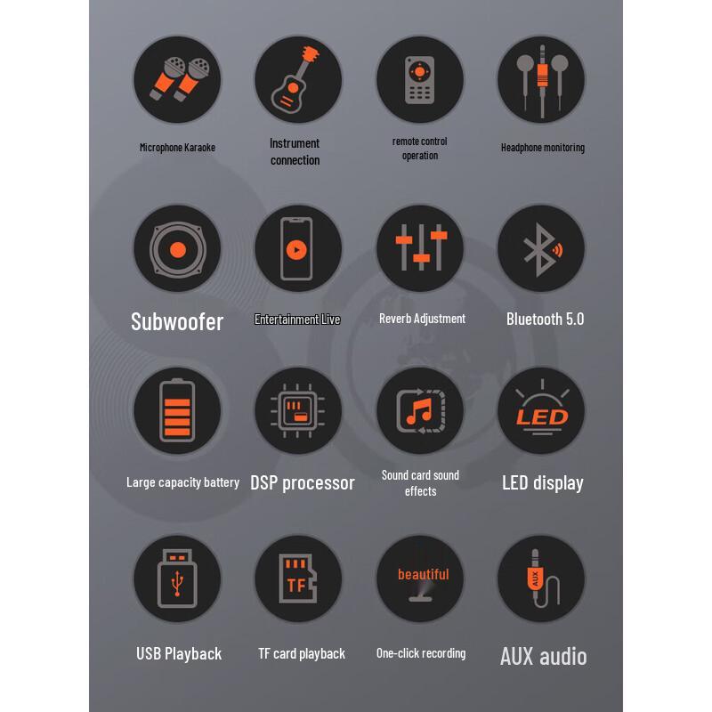 SANSUI G17 Portable KTV Bluetooth Speaker