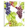 GLAS-SCHNEIDEBRETT 40x52 Obst