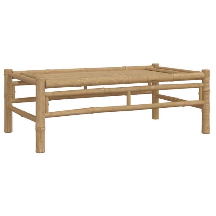 VidaXL Table basse de jardin 100x55x33 cm bambou 363456