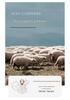 Women's Cashmere Round Neck Sweater: Autumn & Winter Knit Base Layer, Loose Versatile Design