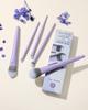 EIGSHOW Makeup Brush Professional Silver Ion Super Soft Fiber for Everyday with Portable Case 5-Piece Set, Grade, Treatment, Wool, Makeup, (Purple)