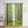 Window Blinds Curtains for Living Room, Forest Jungle Tree, Natural Scenery, Landscape, Thin, Waterfall, Kitchen, Bedroom,