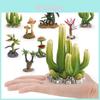 Realistic Plant Model Collection With Pvc Material For Home Decor And Terrarium Design