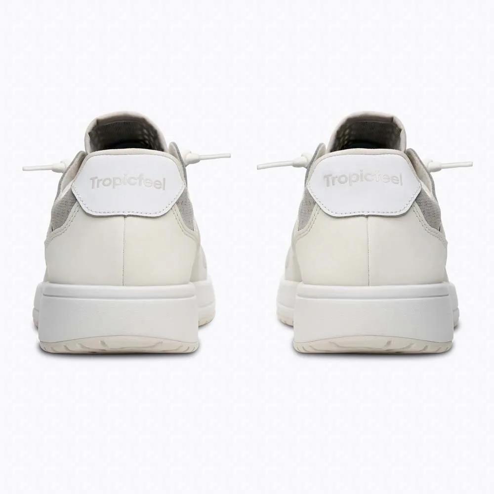 Tropicfeel Dune Sneakers