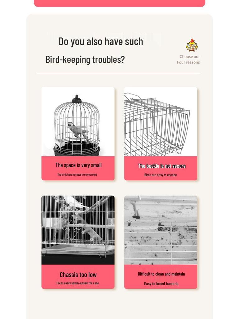 Acrylic Parrot and Budgie Cage: Large Ornamental Villa for Cockatiel, Finch & More