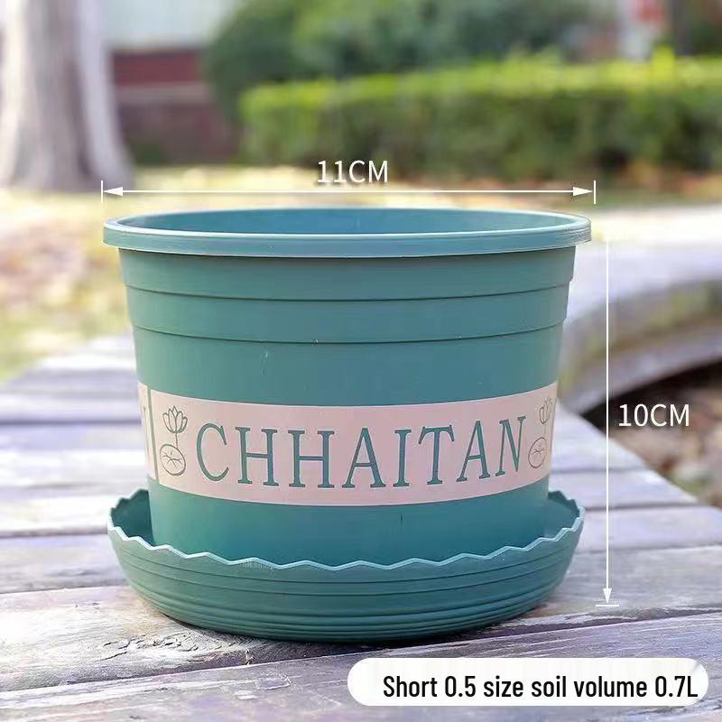 Durable Plastic Resin Plant Pot for Small Succulents & Large Bonsai, Breathable & Thickened for Balcony or Desktop Use.