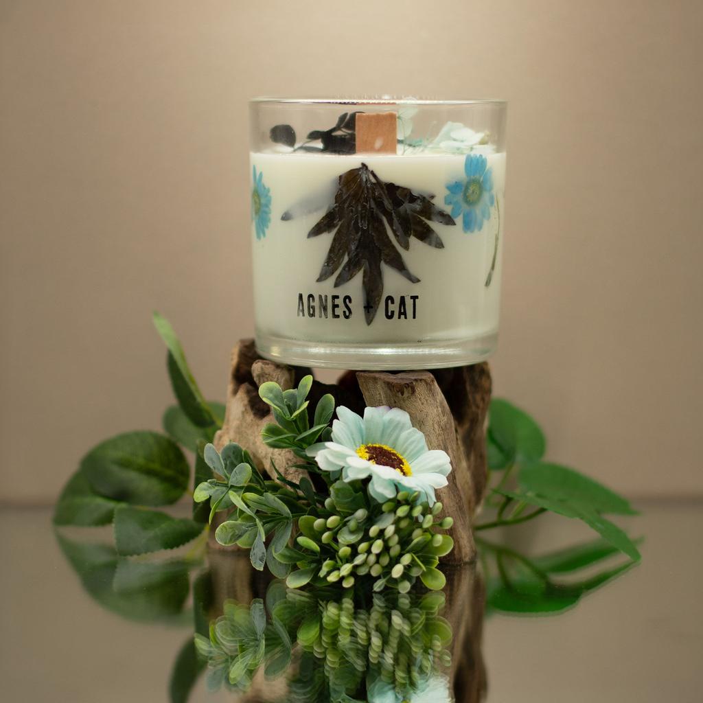 Agnes + Cat Botanical Soy Wax Candle – Seasalt & Moss