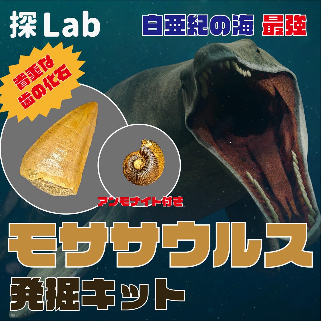 

Strongest Cretaceous Sea Mosasaurus Excavation Kit [The Creature] (Includes Ammonites)