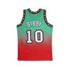 Mitchell & Ness Basketball Jersey Unisex Green SMJY4269-VGR98MBIRDTL
