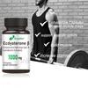 Bcuelov Ecdysterone Capsules with Cyclodextrin Complex Support Physical Performance 120 Veggie Capsules