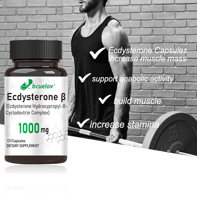 Bcuelov Ecdysterone Capsules with Cyclodextrin Complex Support Physical Performance 120 Veggie Capsules