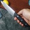 4.8 Inch Utility Knife 67-layers Damascus Steel 10Cr15MoV Blade Ebony Handle Paring Fruit Barbecue Slicing Cleaver Kitchen Knife