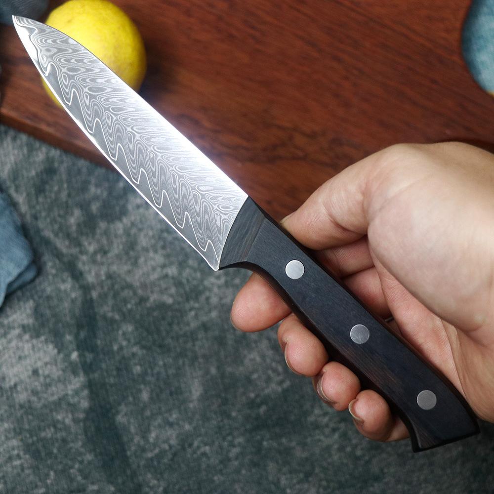 4.8 Inch Utility Knife 67-layers Damascus Steel 10Cr15MoV Blade Ebony Handle Paring Fruit Barbecue Slicing Cleaver Kitchen Knife