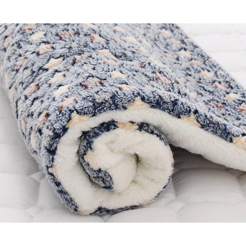Factory Direct Sale Thickened Pet Mat For Autumn And Winter Cute Cartoon Style Anti-slip Blanket Wholesale Blue Starry Characters)