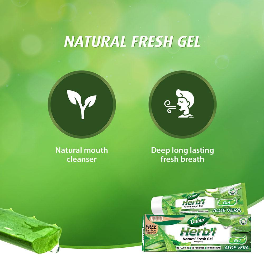 Herbal Aloe Vera Gel Toothpaste + FREE Toothbrush Dabur HERB'l