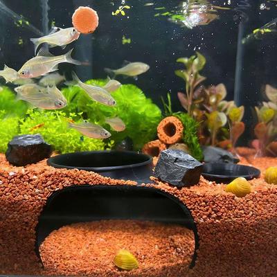 Fische & Meerestiere – Aquarien-Einrichtung