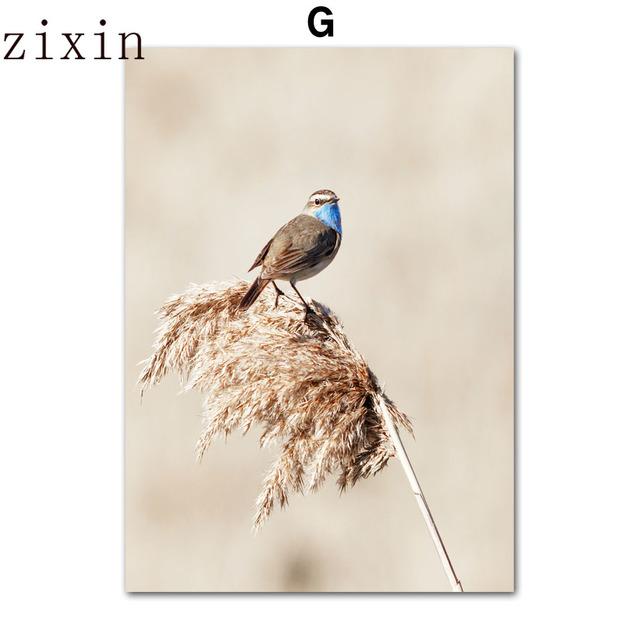 Peisaj de pajiști bej Leu Zebră Păsări Animale Artă de perete Pictură pe pânză Postere și imprimeuri nordice Decor interior pentru cameră de zi