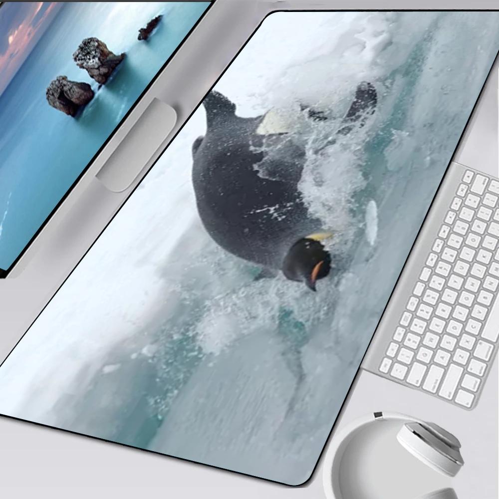 Pinguino antartide carino madagascar Tappetino per Mouse Tappetino in Gomma Laptop Xxl Mousepad Quaderno Giocatore Tavolo Computer Accessori da Gioco