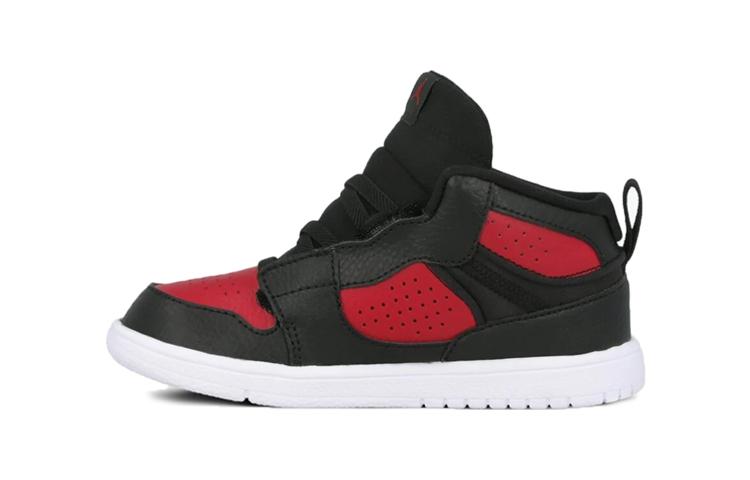 Air Jordan Access TD Bred 25