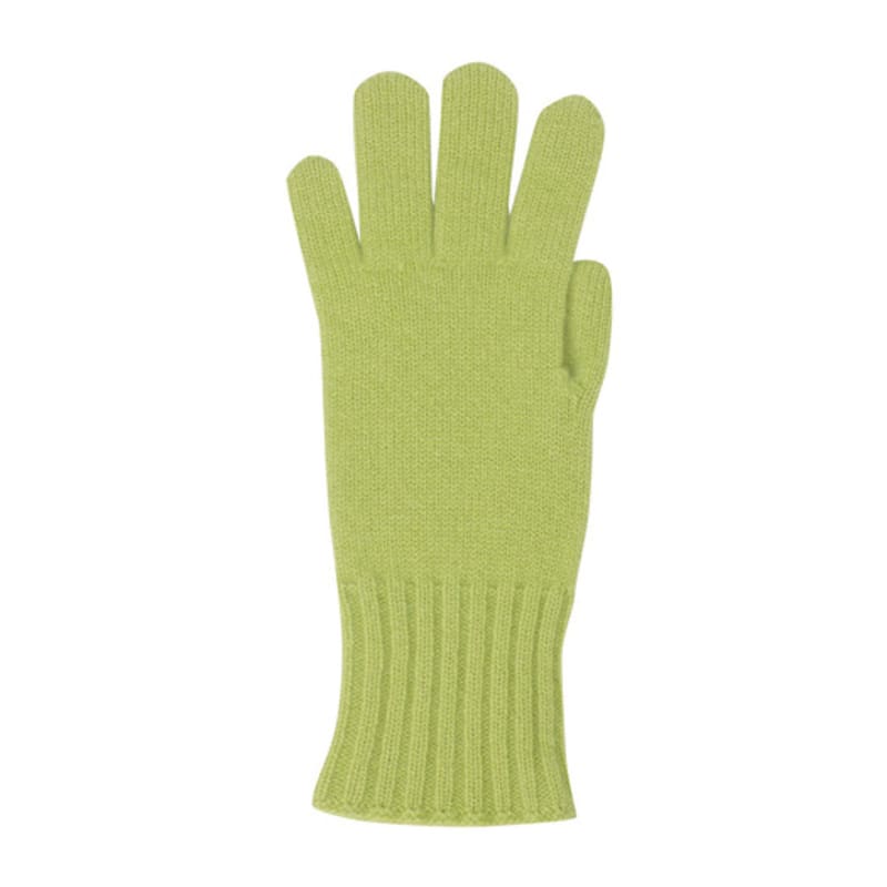 LE CASHMERE Cashmere Basic Gloves (Light Green) D7HAW25001GRL
