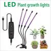 Full Spectrum LED Grow Light with Timer for Succulents, Flowers, and Seedlings