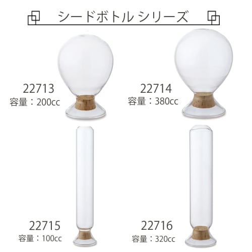 POSH LIVING Seed Bottle Cylinder, Clear, Size: Approx. W7 D7 H25 22716