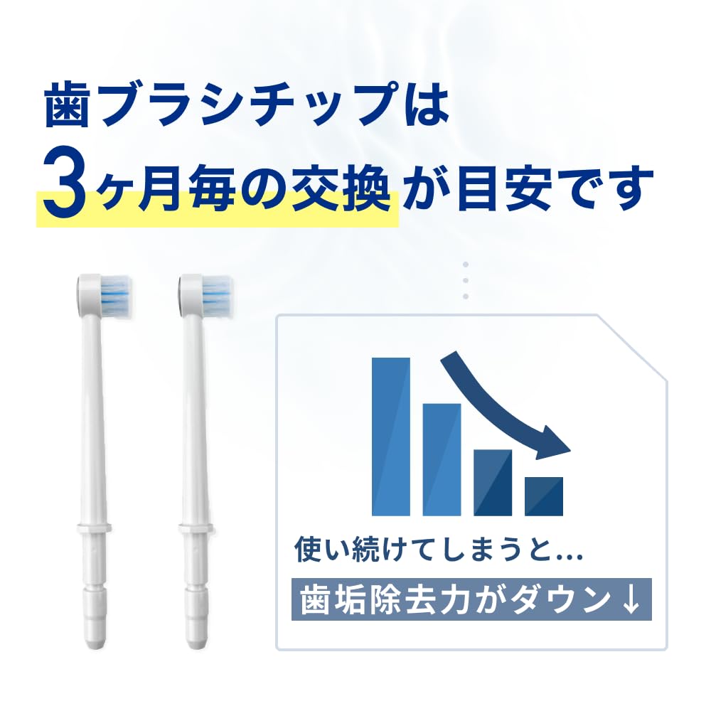 Waterpik WP Toothbrush Toothbrush Replacement Nozzle [Genuine Product] TB-100E Tips, 2-Piece Set, Nozzle,