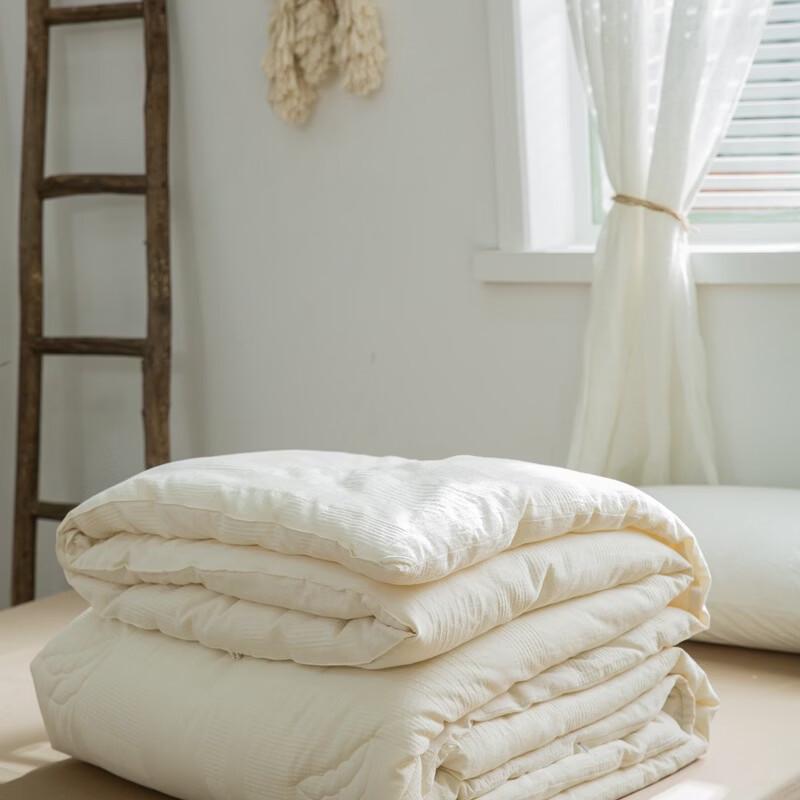 Brangdy Thickened Soybean Fiber Winter Quilt