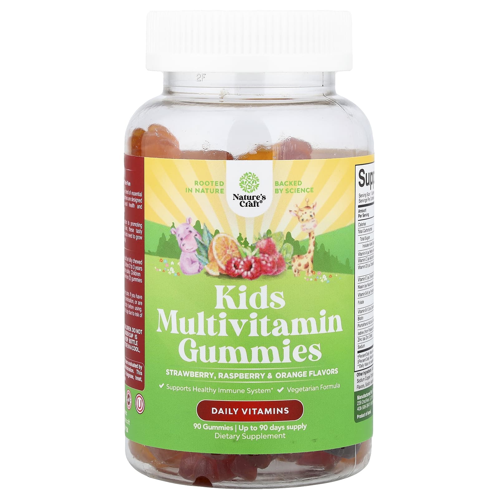 

Nature S Craft, Children s Multivitamin Gummies, Strawberry, Raspberry & Orange, 90 Gummies