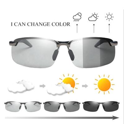 chameleon changing color glasses