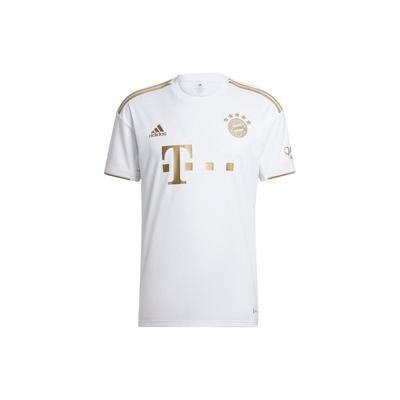 adidas 22-23 Venkovní Bayern Tištěné Fotbalové Tričko s Kulatým Výstřihem Pánské Vrcholy Bílé HI3886
