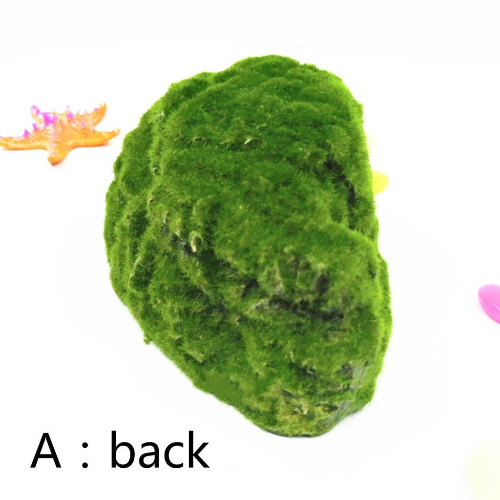 Reptilien-Box-Schildkröte, die das Nest vermeidet, Höhlenlandschaft, Spinnenschildkröte, realistische Mooshöhle, Beflockung Tur