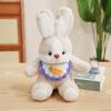 Sorry Good Night Rabbit Doll Cute Dog Doll Sleeping Doll Sleeping Plush Pillow Children's Birthday Gift Girl